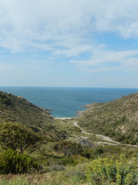 DSCN1605