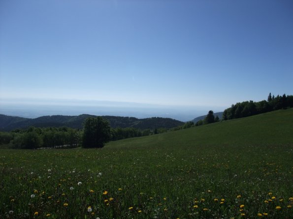 01_SamRoute_201