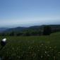 01_SamRoute_202
