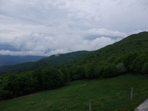 05_Dim_217