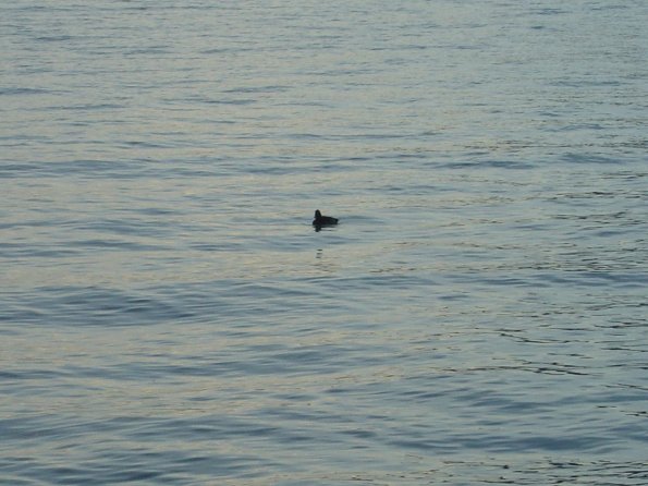 DSC00749b