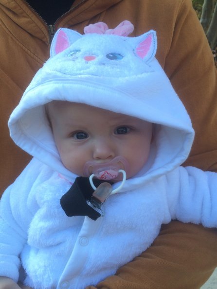 1411 Chaton