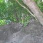 IMG0287