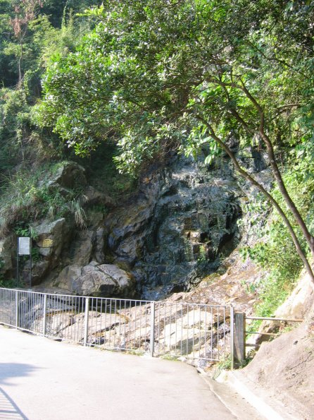 IMG0288