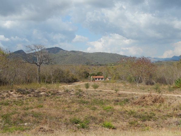 DSCN3103